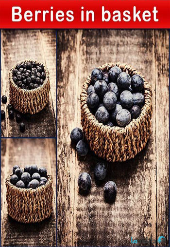 استوک-Berries-in-basket