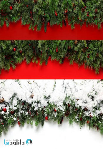 Christmas-Branches-Background