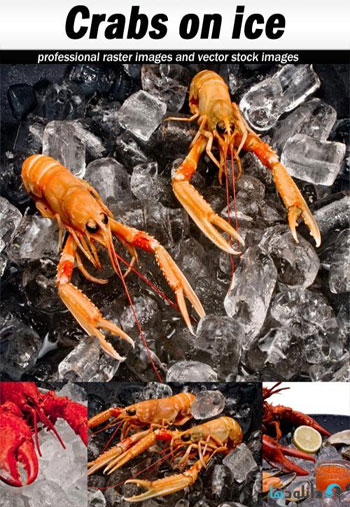 استوک-Crabs-on-ice