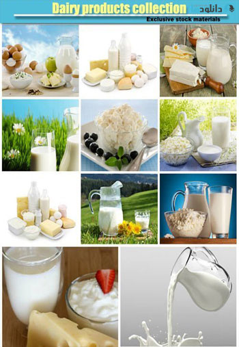 Dairy-products-collection