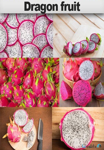 استوک-Dragon-fruit