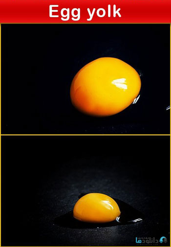 Egg-yolk