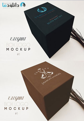 Elegant-Box-Logo-Mockup