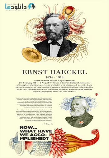 Ernst-Haeckel-Typeface-PNG
