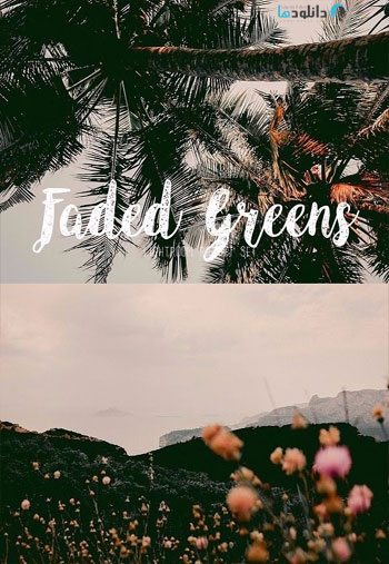 FADED-GREENS-FILM-CAMERA