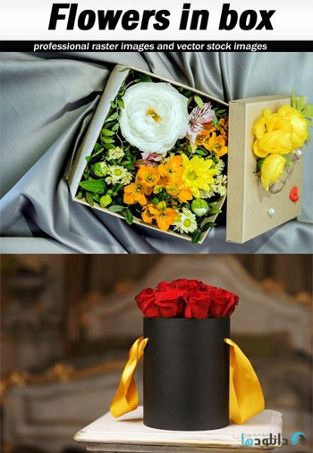 استوک-Flowers-in-box