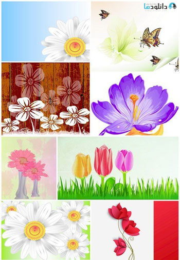 Flowers-nature-background