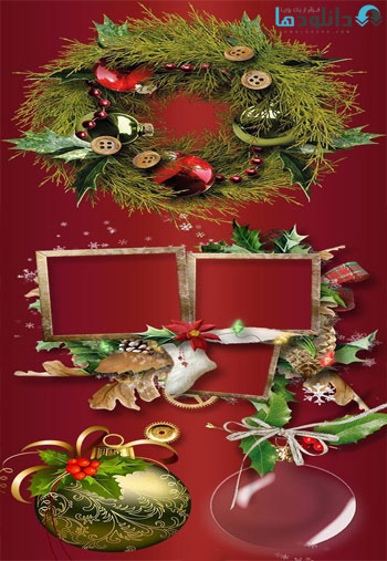 Holly-on-a-transparent-background