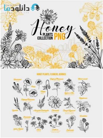 شاتر-استوک-Honey-Plants
