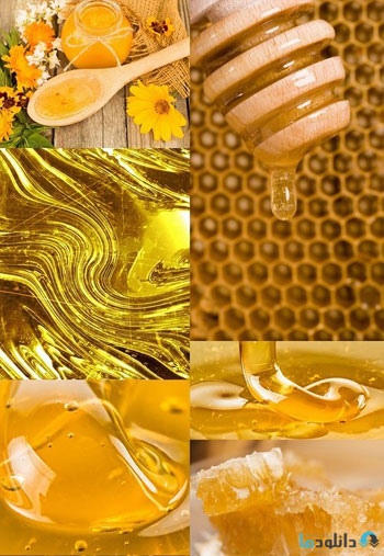 استوک-Honey