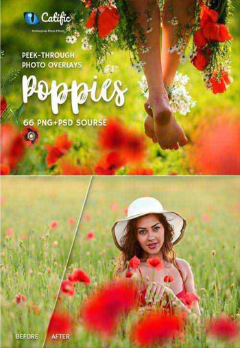 66-Poppie-Flowers-Photo-overlays
