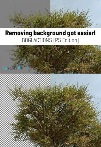 Background-Removal-Tools