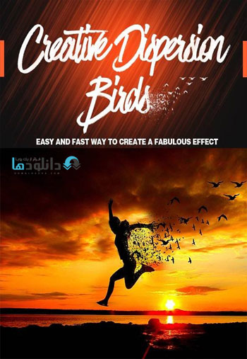 Creative-Birds-Dispersion