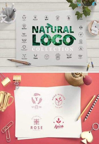 Minimal-Leaves-Logo