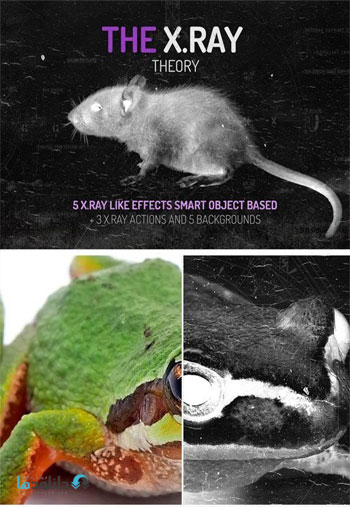 The-X.RAY-Theory