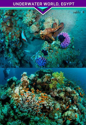 Underwater-world-Egypt