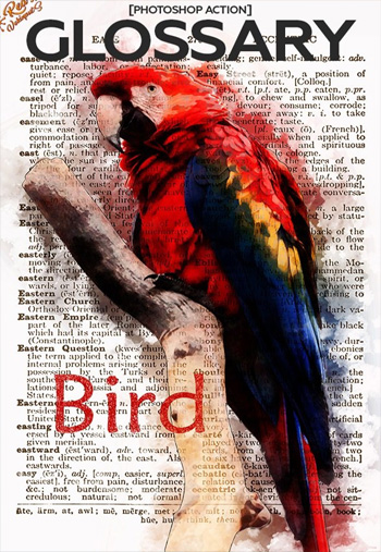glossary-bird-ps-action