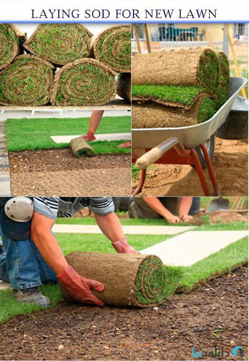 استوک-Laying-sod-for-new-lawn