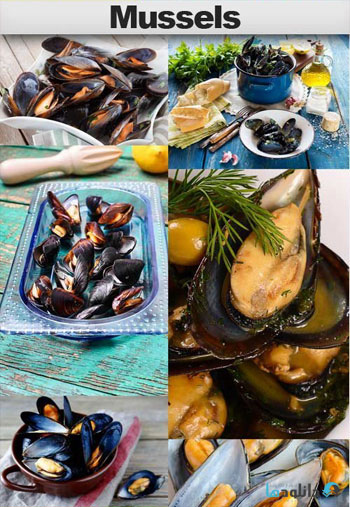 استوک-Mussels