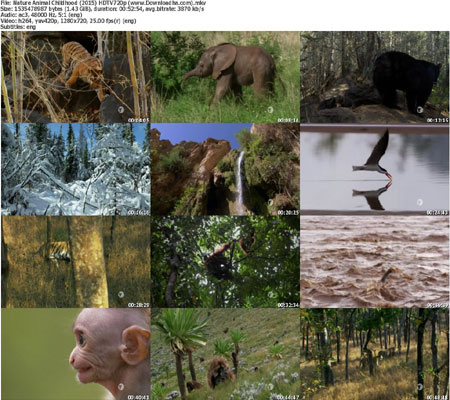 https://img5.dlhas.ir/AliGh/IMG/Nature-Animal-Childhood-(20.jpg