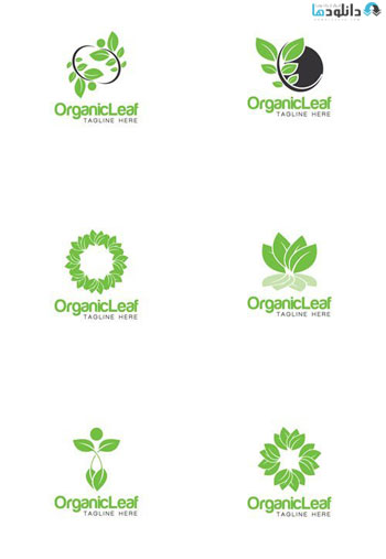 Organic-Leaf-Creative-Logo
