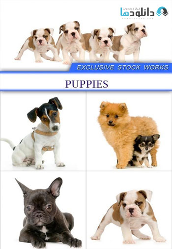 PUPPIES
