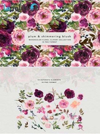 استوک-Plum-Blush-Floral-Clipart