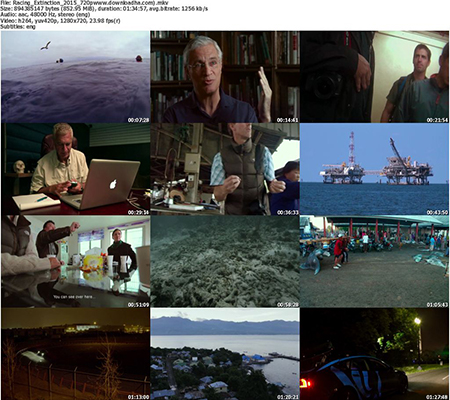 https://img5.dlhas.ir/AliGh/IMG/Racing_Extinction_2015_720pwww.downloadha.com).jpg