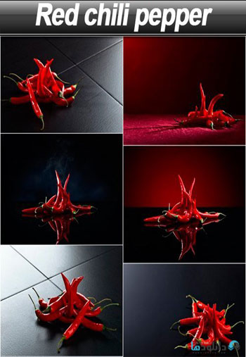 استوک-Red-chili-pepper