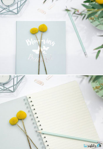 The-Blooming-Beautiful