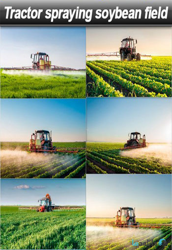 استوک-Tractor-spraying-soybean