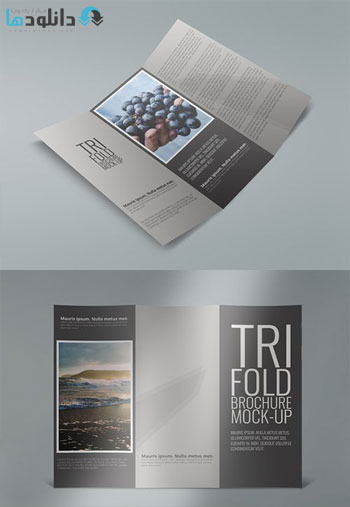 Tri-Fold-Brochure-Mock-Ups