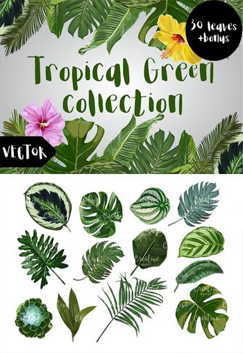 Tropical-Green-Vector
