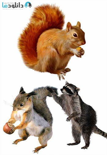 Various-animals-clipart-on-a-transparent-background