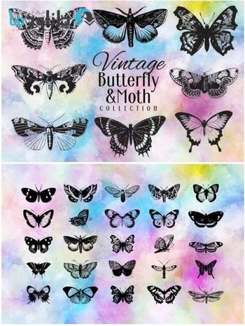 شاتر-استوک-Vintage-Butterfly-Collection