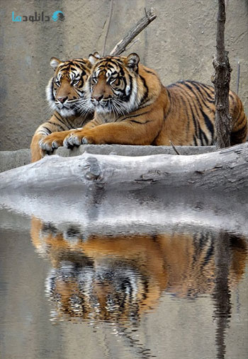 Water-Reflections-Photoshop-action