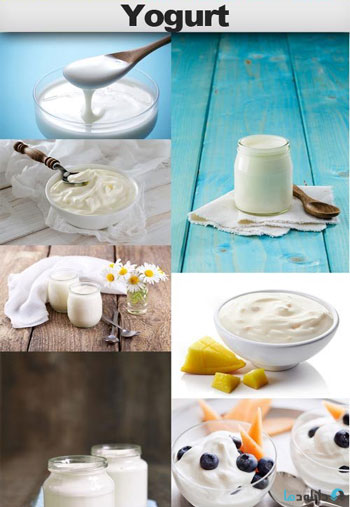 Yogurt