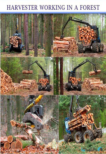 استوک-harvester-working-in-a-fore