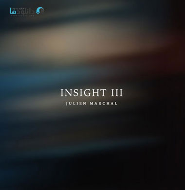 insight-3