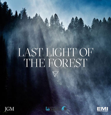 last-of-light-the-forest