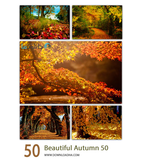 دانلود مجموعه 50 والپیپر پاییزی 50 Beautiful Autumn Cover%28Downloadha.com%29 دانلود مجموعه 50 والپیپر پاییزی