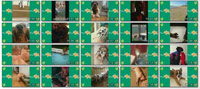 دانلود کلیپ حیوانات خانگی شگفت انگیز The crazy animals Cute Pets Vine compilation 2014 ss s%28Downloadha.com%29 دانلود کلیپ حیوانات خانگی شگفت انگیز