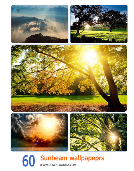 60-Sunbeam-wallpapeprs-Cover