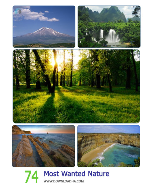 74-Most-Wanted-Nature-Cover