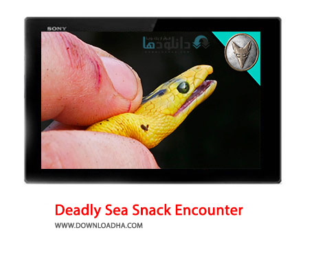 Deadly-Sea-Snack-Encounter-Cover