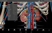 Human-Anatomy-Atlas-Screenshot-1
