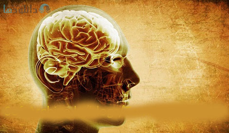 Introduction-to-Clinical-Neurology-Cover