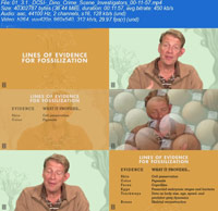 Emergence-of-Life