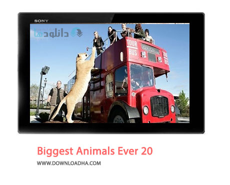20-Biggest-Animals-Ever-Cover