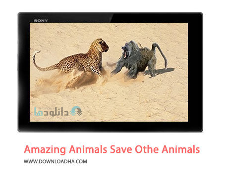 Amazing-Animals-Save-Othe-Animals-Cover
